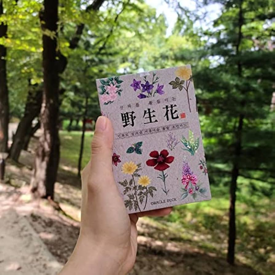 Amazon | Kancharo オラクルカード 60 枚 タロット占い【韓国